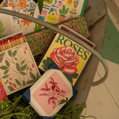 Archivist Šibice Red Rose