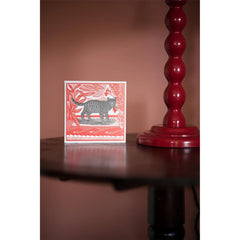 Archivist Šibice Sasha The Cat