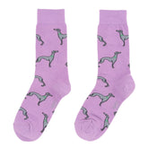 Coucou Suzette Whippet Socks