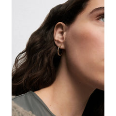 PDPAOLA Lotus naušnice