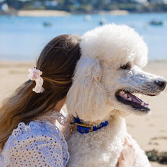 Coucou Suzette Kopča za kosu Poodle