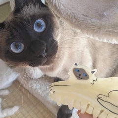 Coucou Suzette Kopča za kosu Siamese Cat