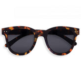 IZIPIZI SUN #N Tortoise