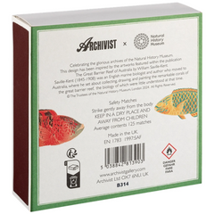 Archivist Šibice Fish