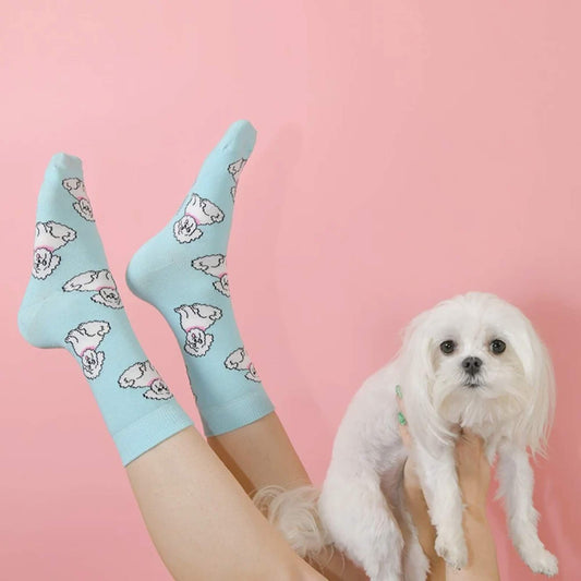 Coucou Suzette Čarape Bichon