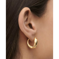 PDPAOLA Dolphin mini earrings 