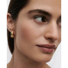 PDPAOLA Dolphin mini earrings 