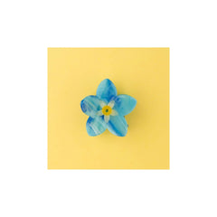 Coucou Suzette Hair Clip Forget Me Not